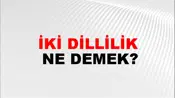 İki Dillilik