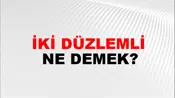 İki Düzlemli