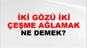 İki Gözü İki Çeşme Ağlamak