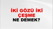 İki Gözü İki Çeşme