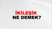 İkileşik