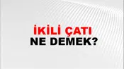 İkili Çatı