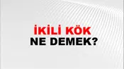 İkili Kök