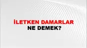 İletken Damarlar