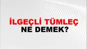 İlgeçli Tümleç