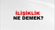 İlişiklik
