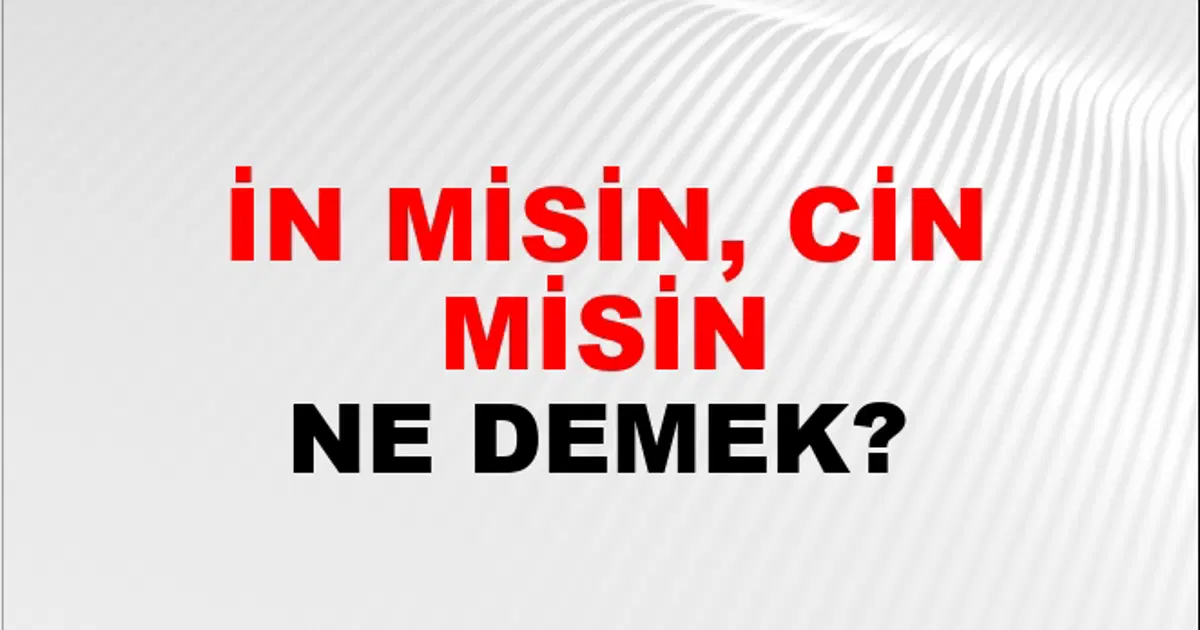 Misin İn Misin, Cin Misin Ne Demek? İn Misin, Cin Misin Kelimesinin TDK ...