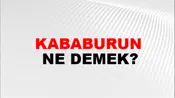 Kababurun