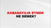 Kabadayılık Etmek