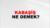 Kabaşiş