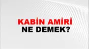 Kabin Amiri