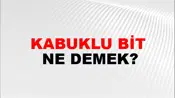 Kabuklu Bit