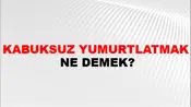 Kabuksuz Yumurtlatmak