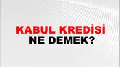 Kabul Kredisi