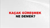 Kaçak Güreşmek