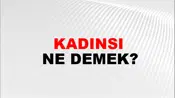 Kadınsı
