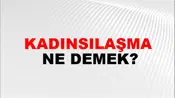 Kadınsılaşma