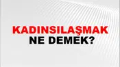 Kadınsılaşmak