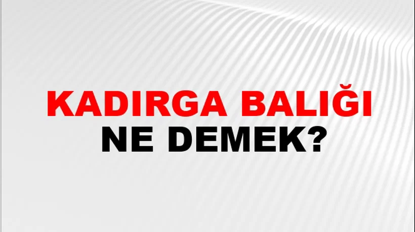 Kadırga Balığı Kadırga Balığı