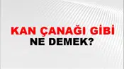 Kan Çanağı Gibi