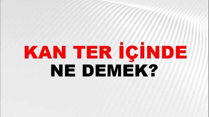 Kan Ter İçinde Kan Ter İçinde