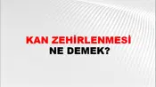 Kan Zehirlenmesi