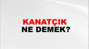Kanatçık