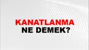 Kanatlanma