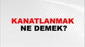 Kanatlanmak
