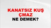 Kanatsız Kuş Uçmaz