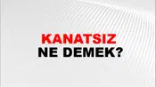 Kanatsız