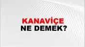 Kanaviçe
