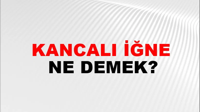 Kancalı İğne Kancalı İğne