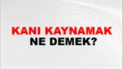 Kanı Kaynamak