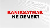 Kanıksatmak