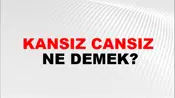 Kansız Cansız