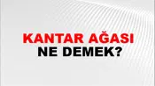 Kantar Ağası