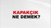 Kapakçık