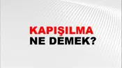 Kapışılma