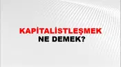 Kapitalistleşmek