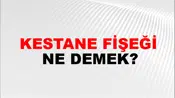 Kestane Fişeği