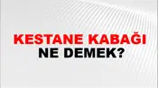 Kestane Kabağı