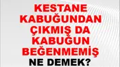 Kestane Kabuğundan Çıkmış Da Kabuğunu Beğenmemiş