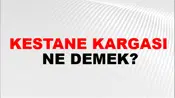 Kestane Kargası
