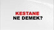 Kestane