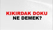 Kıkırdak Doku