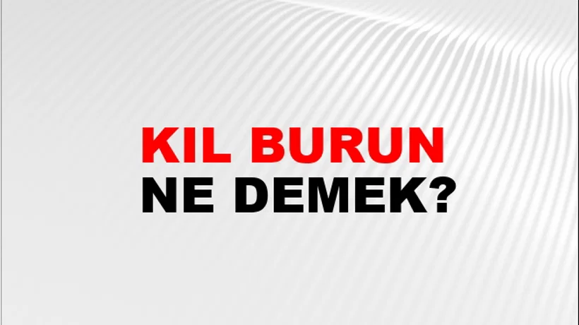 Kıl Burun Kıl Burun