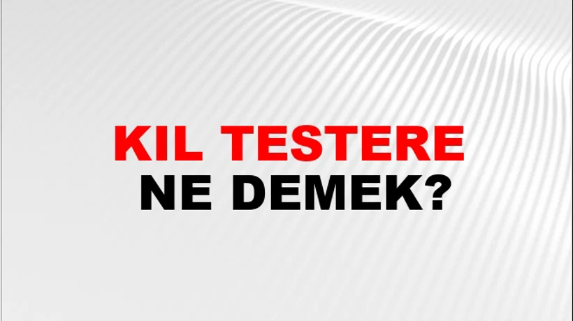 Kıl Testere Kıl Testere