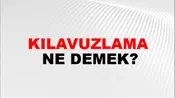 Kılavuzlama