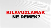 Kılavuzlamak